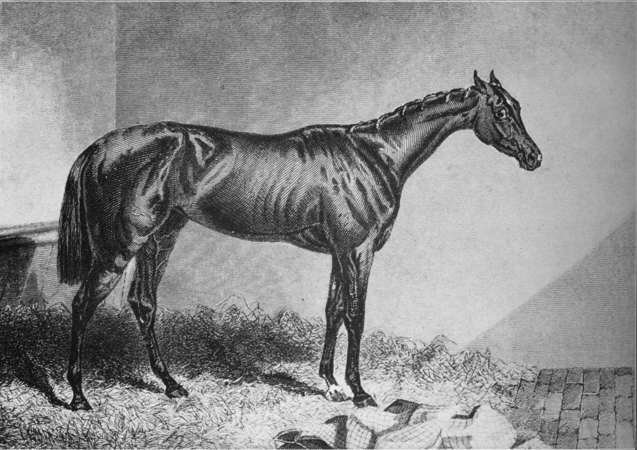 Mendicant, 19. yüzyıl, 1911 by Unbekannt