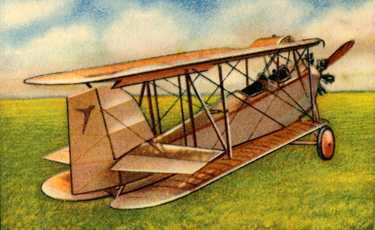 Messerschmitt M.21 çift kanatlı, 1920
