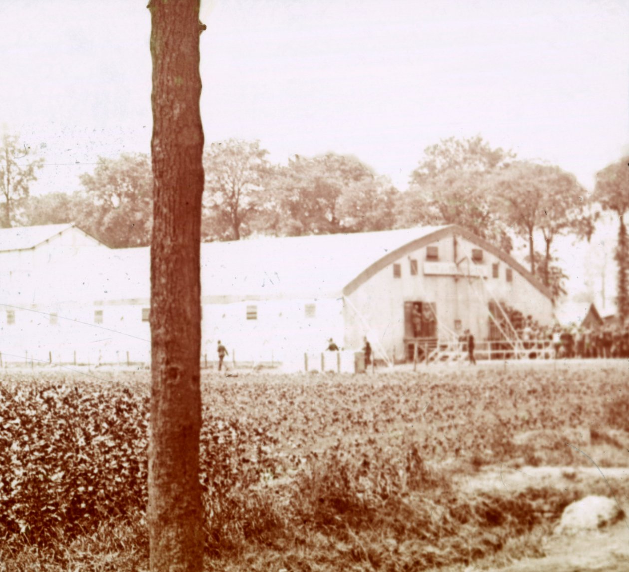 Askeri üs, Furnes, Flanders, Belçika, c1914-c1918 by Unbekannt