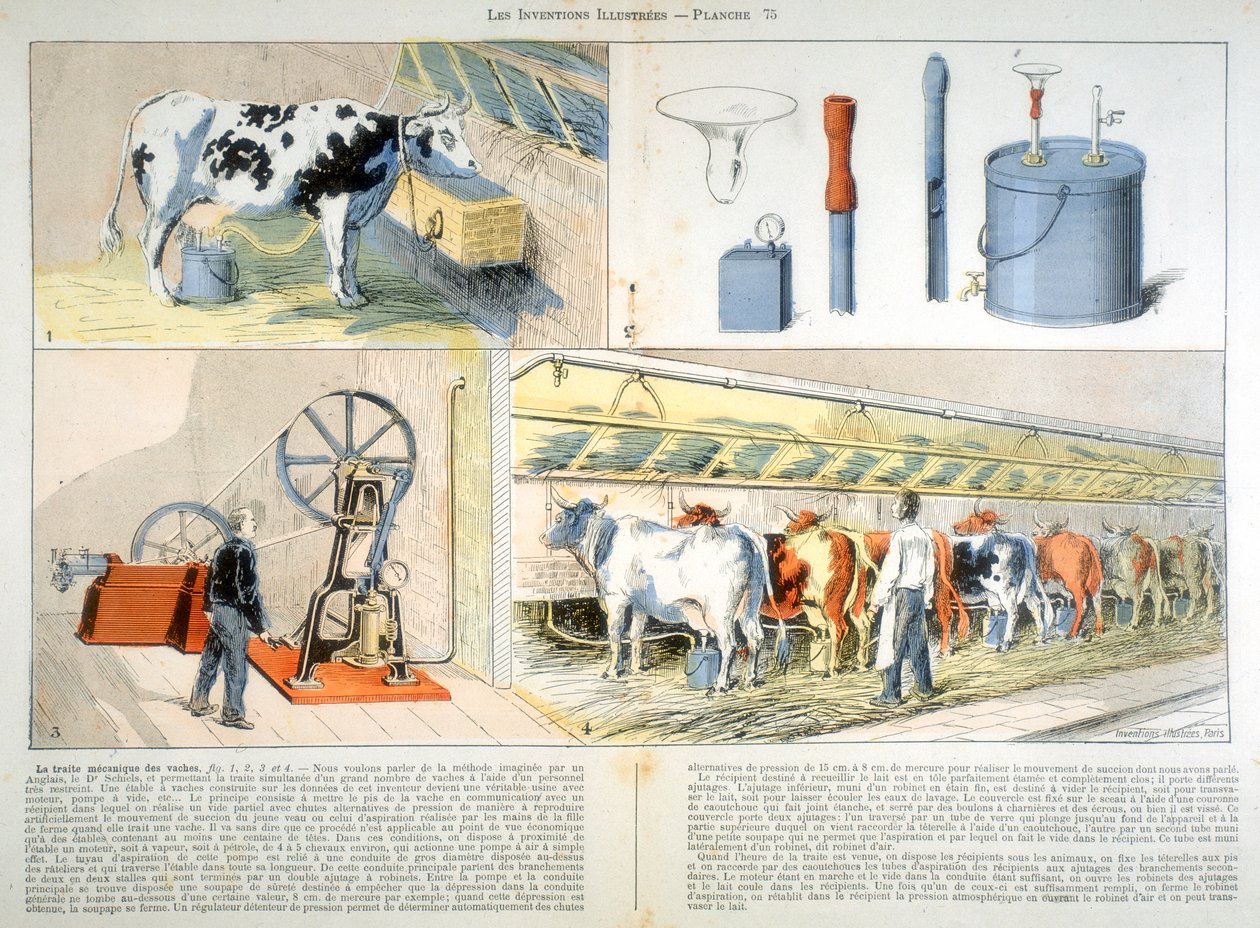 Devedikeni emme ve titreşimli sağım makinesiyle donatılmış sağım odası, 1899 by Unbekannt