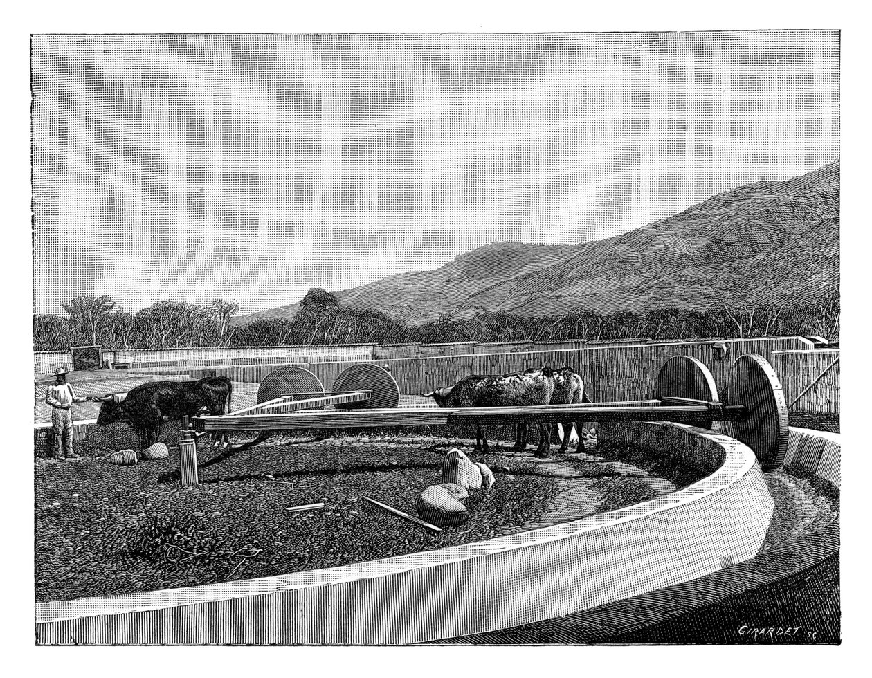 Kahve kabuğu soyma değirmeni, Orta Amerika, c1890 by Unbekannt