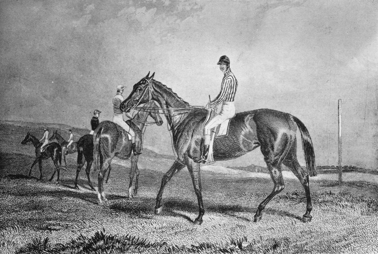 Mincepie, 19. yüzyıl, 1911 by Unbekannt