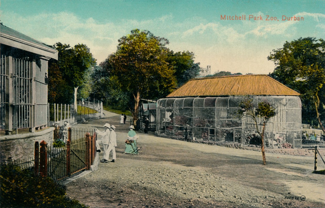 Mitchell Park Hayvanat Bahçesi, Durban, c1915 by Unbekannt