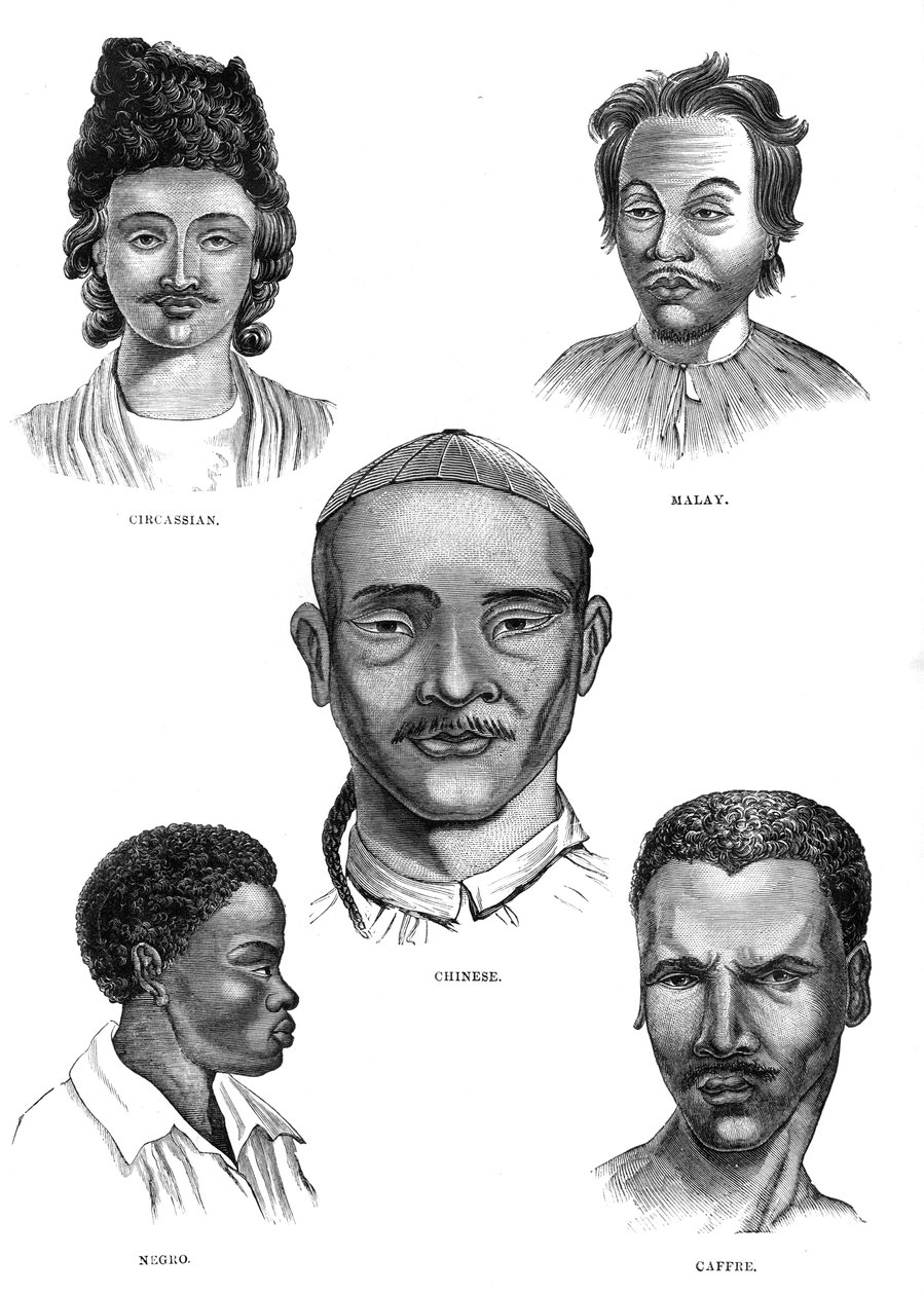 Moğol Irkları, 19. yüzyıl by Unbekannt
