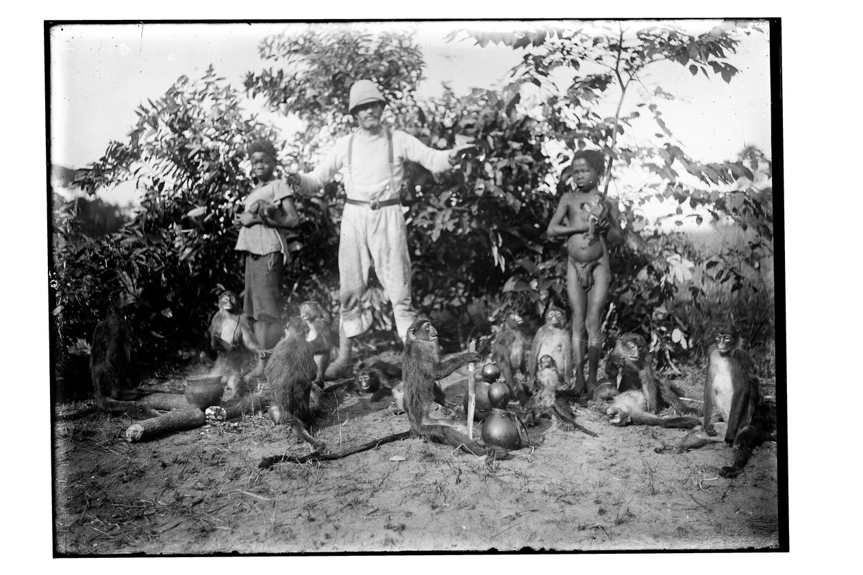Maymunlar, c.1910 (s/b fotoğraf) by Unbekannt
