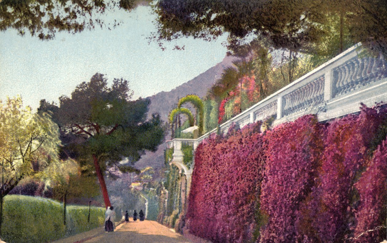 Monte Carlo, 1939. by Unbekannt