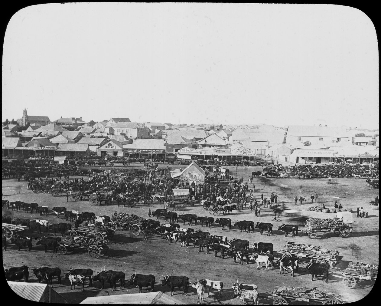 Sabah pazarı, Kimberley, Güney Afrika, c1890 by Unbekannt