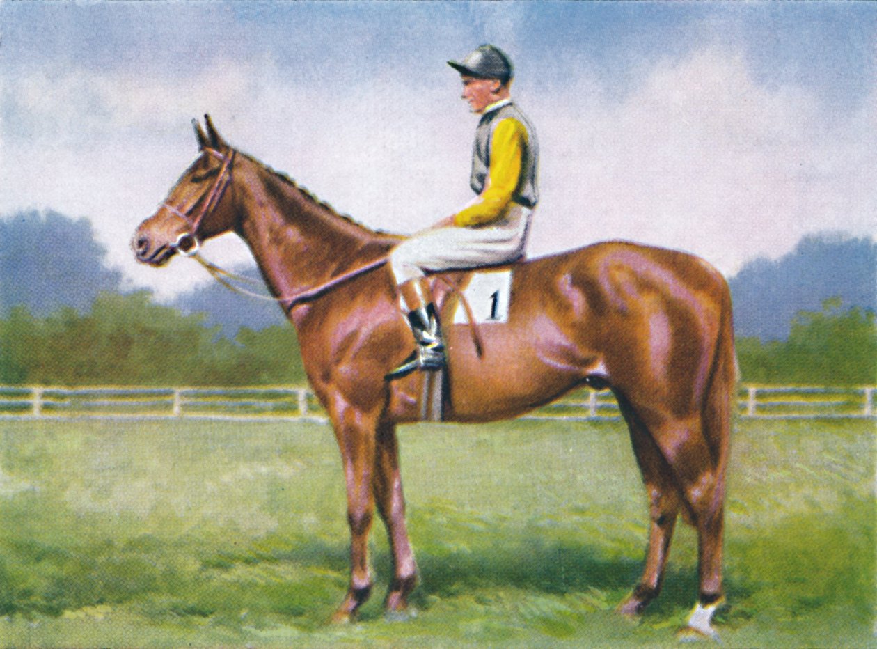 Mors Kodu, Jokey: D. Morgan, 1939 by Unbekannt