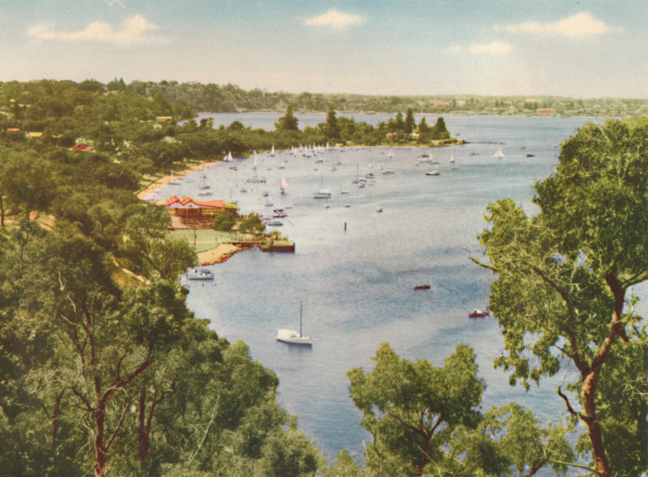 Mosman Körfezi, Keanes Noktası, Nane Korusu, c1947. by Unbekannt