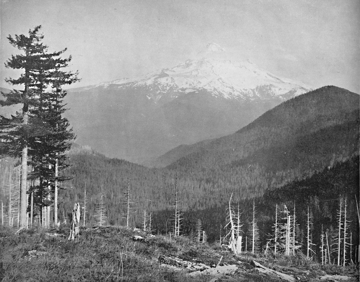 Hood Dağı, Oregon, c1897. by Unbekannt