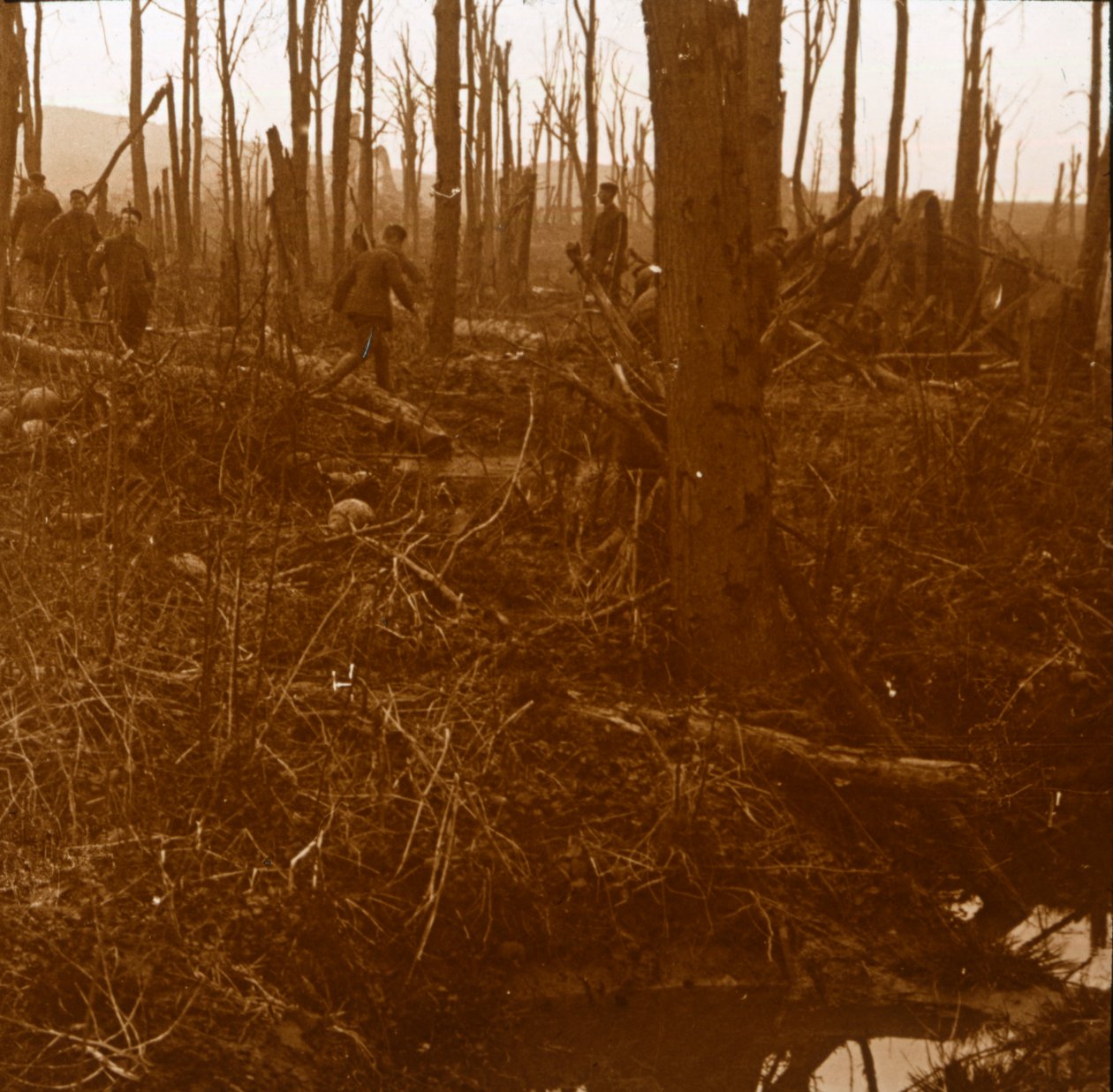 Kemmel Dağı, Flanders, Belçika, c1914-c1918 by Unbekannt