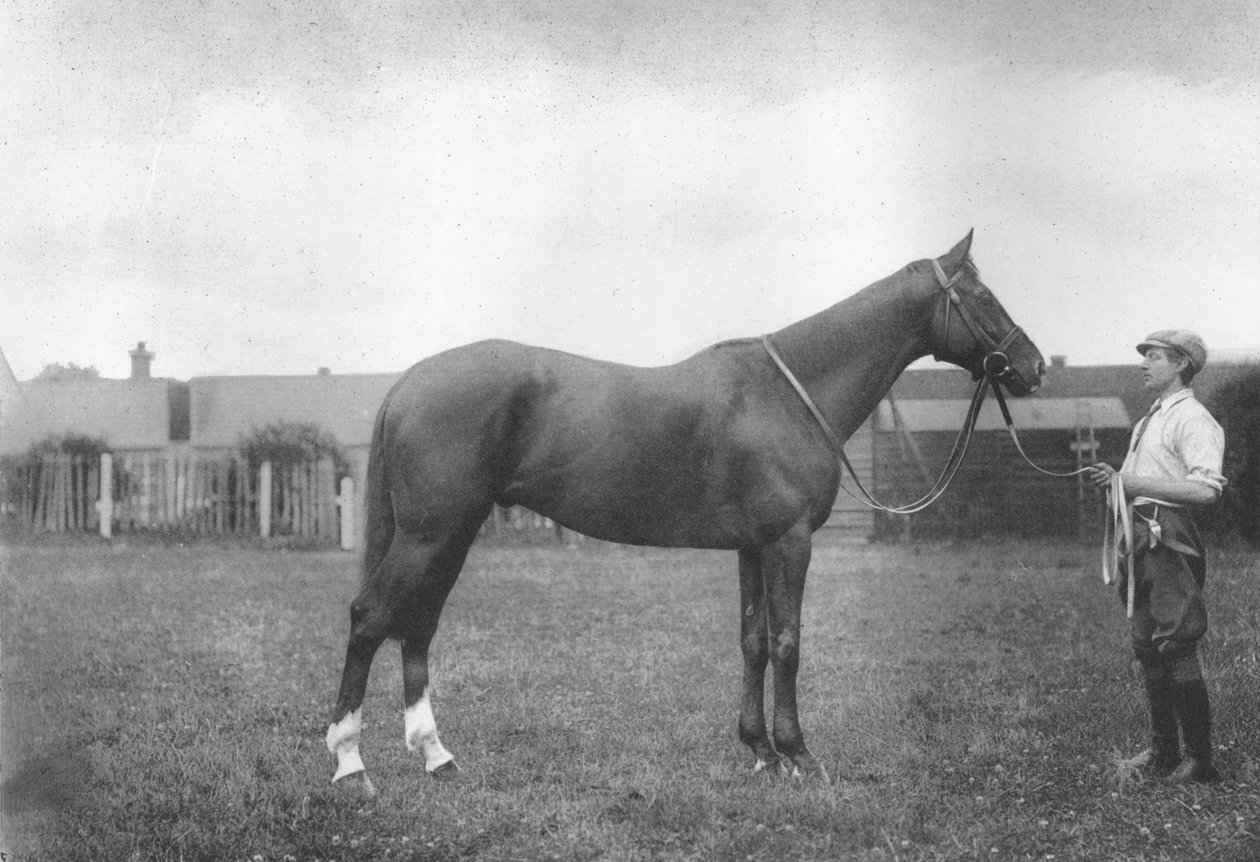 Mount Prospects Fortune, 1911 by Unbekannt