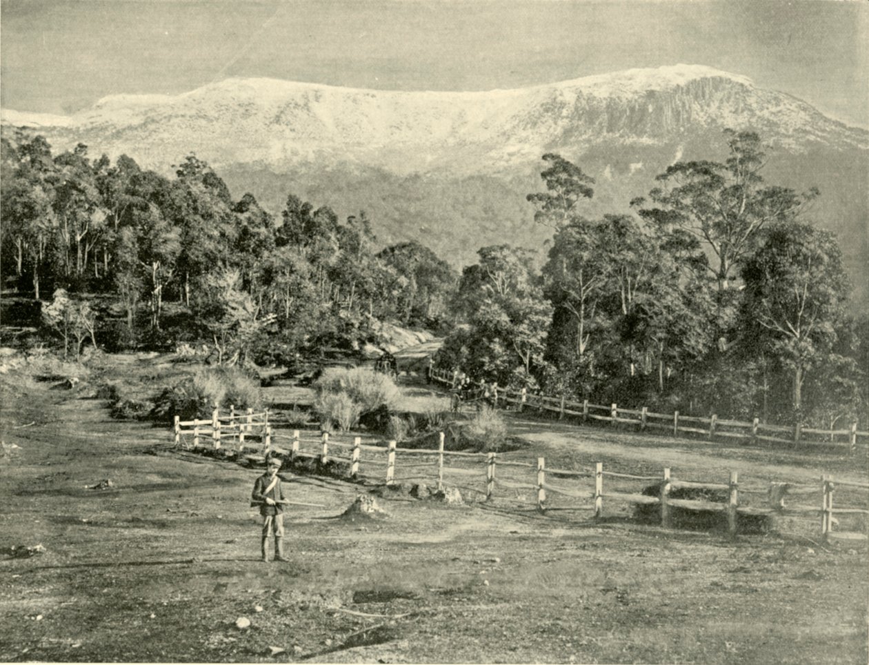 Wellington Dağı, Huon Yolu