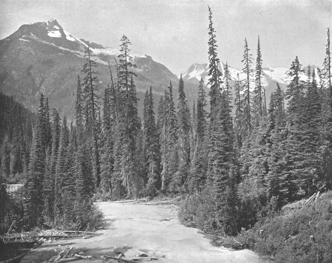 Mounts Cheops ve Hermit, Selkirk Range of the Rockies, ABD, c1900. by Unbekannt