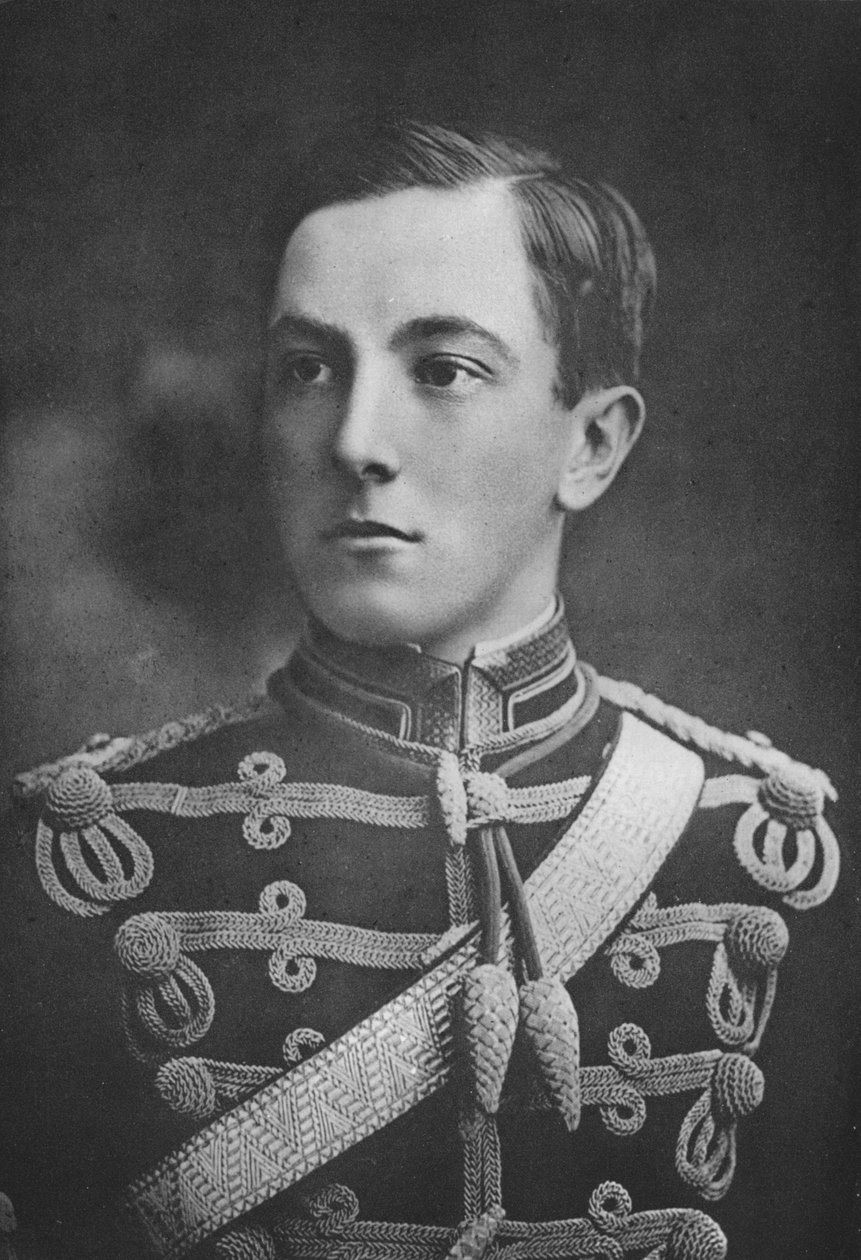 Bay Dermot McCalmont, 1911 by Unbekannt