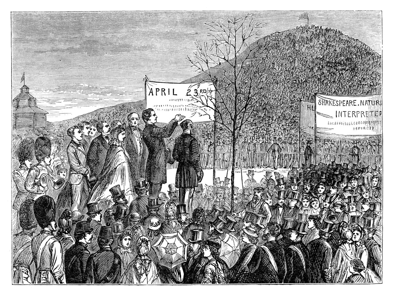 Bay Phelps, 1864 19. yüzyılın sonlarında Primrose Hill, Londra