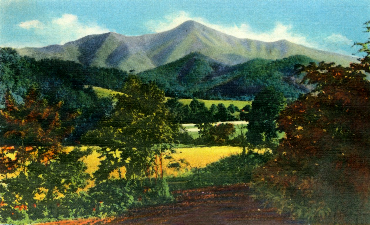 Bay Pisgah ve Uzaktaki Fare, Batı Kuzey Karolina, 1942. by Unbekannt