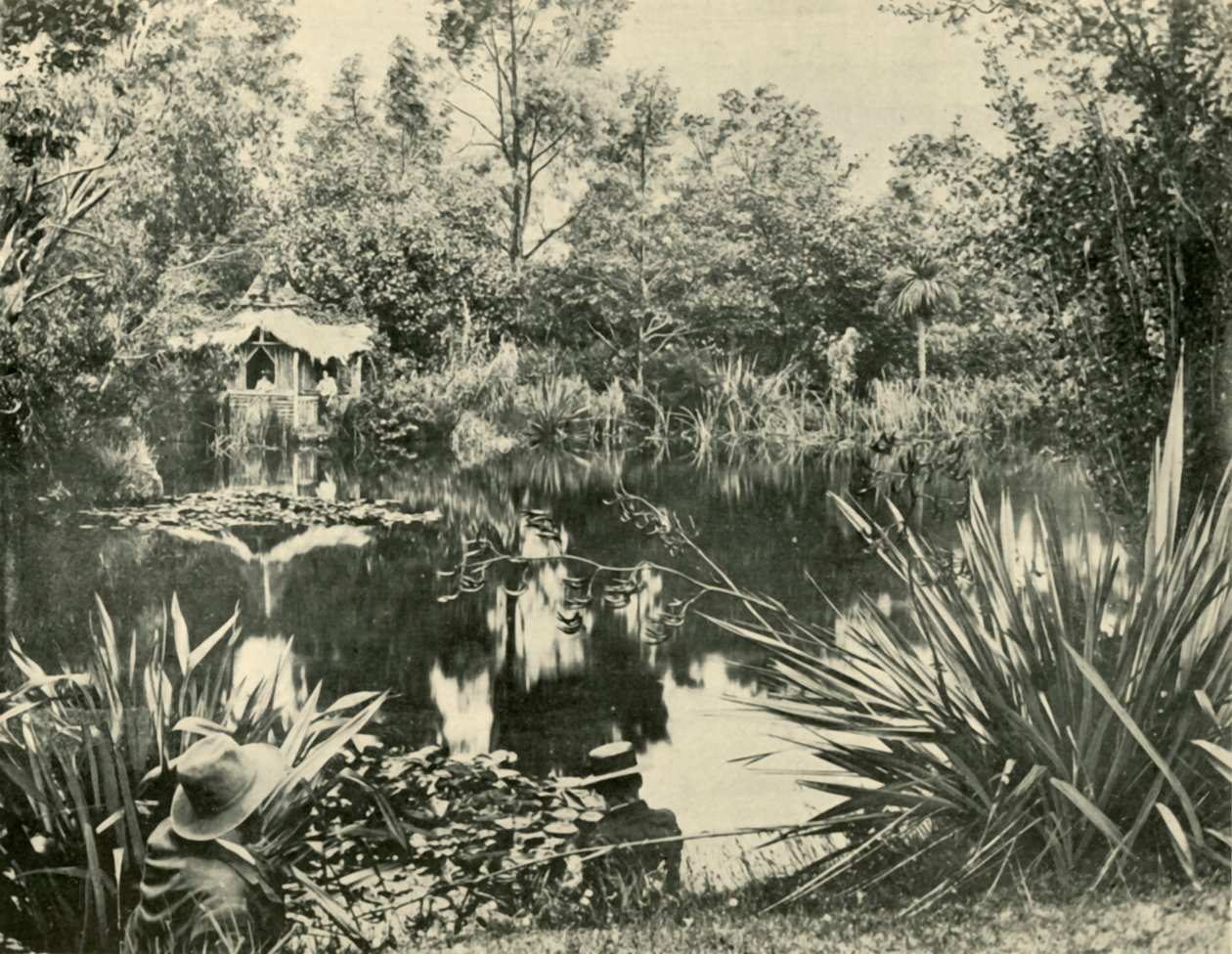Bay Ryans Bahçeleri, Makedon Dağı, Victoria, 1901. by Unbekannt