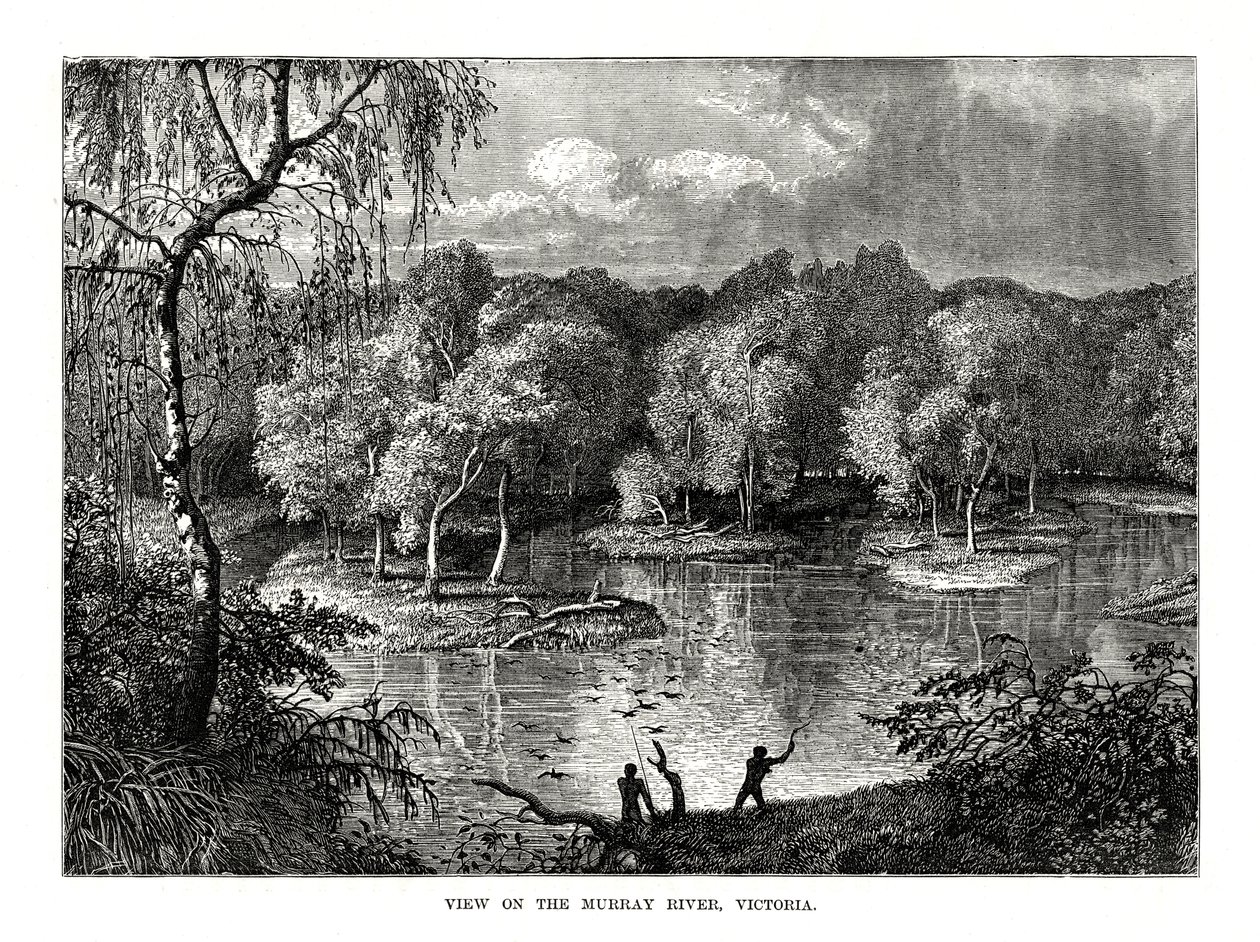 Murray Nehri, Victoria, Avustralya, 1877 by Unbekannt