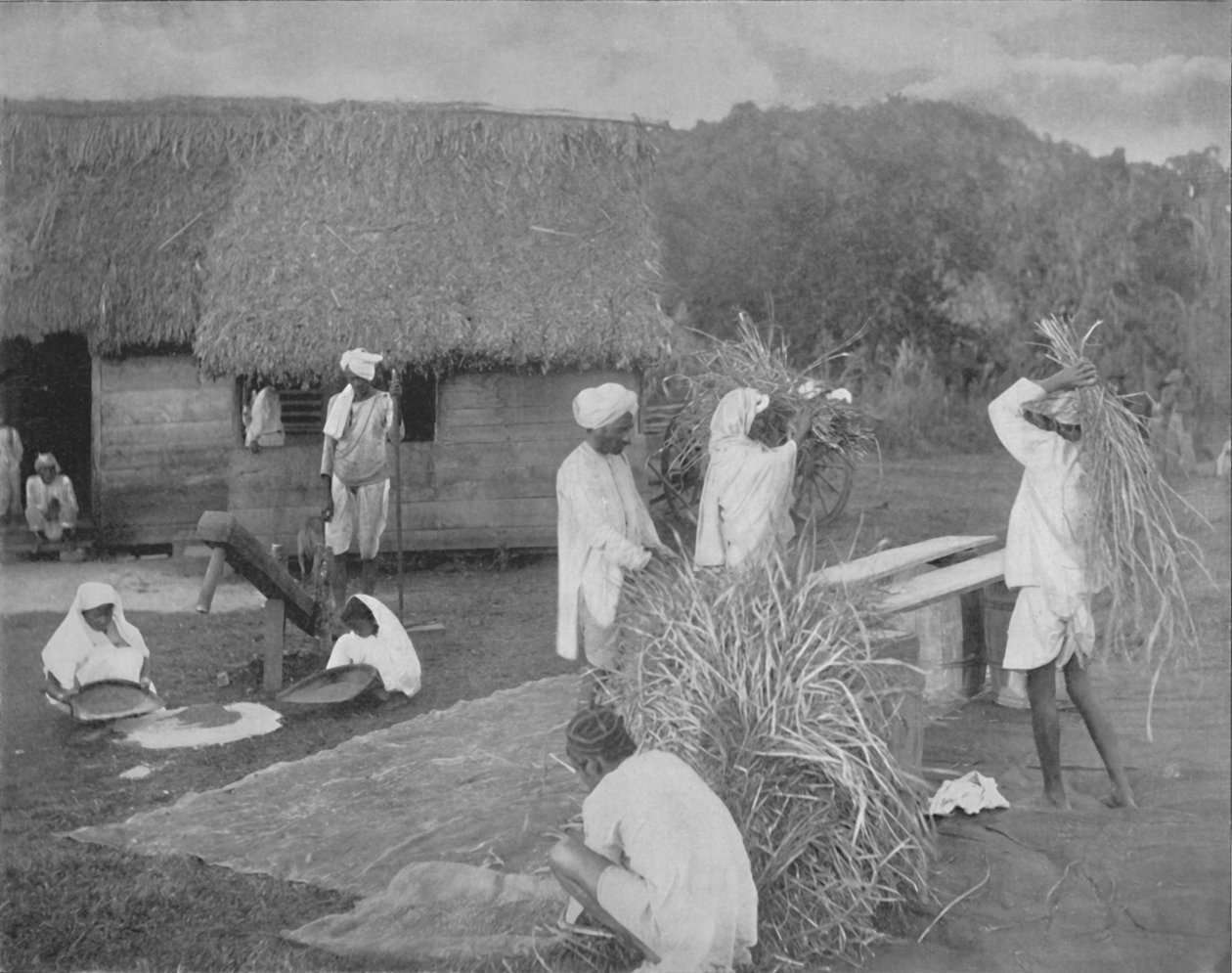 Jamaika