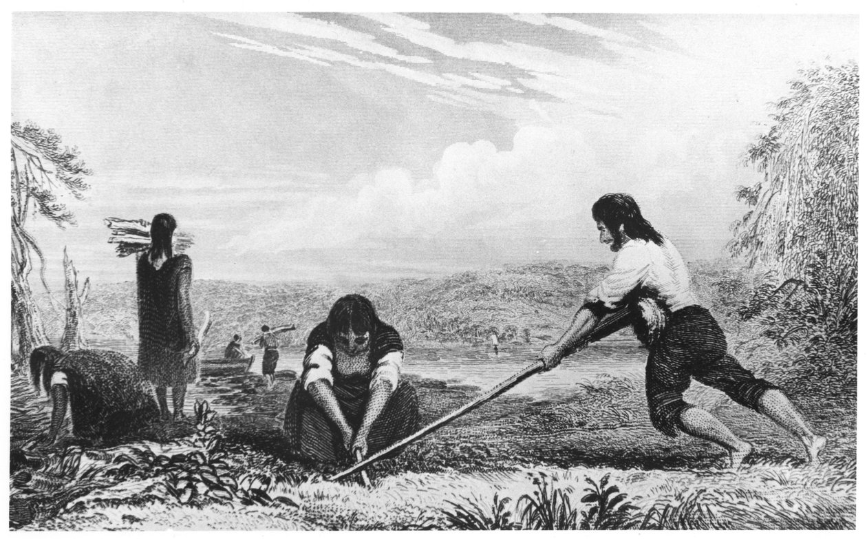 Chiloe, Patagonya yerlileri, pulluk kullanarak, 1839 by Unbekannt