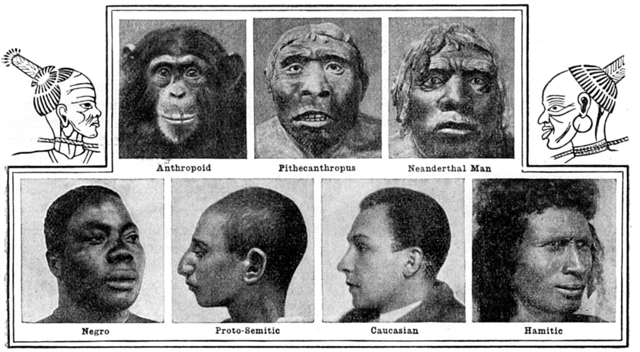 Burunlardaki doğanın evrimsel tasarımları, 1922 by Unbekannt