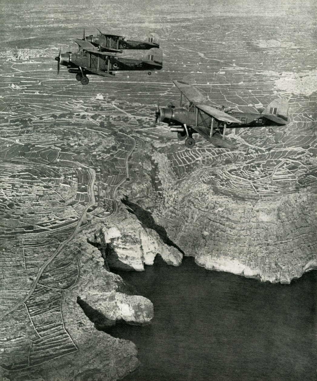 Donanma Albacores, 1942-1943, 1945 yılları arasında vurucu kuvvetin bir parçasıydı. by Unbekannt