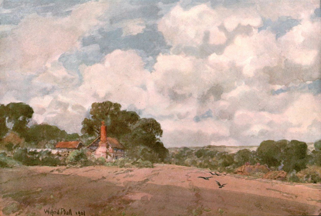 Hogsback yakınlarında, Surrey, 1901. by Unbekannt