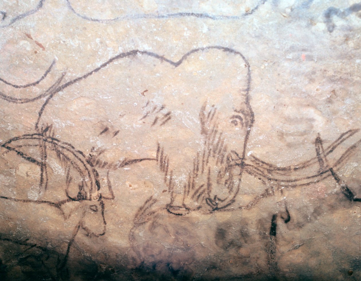 Mamut ve dağ keçilerinin neolitik mağara resmi by Unbekannt