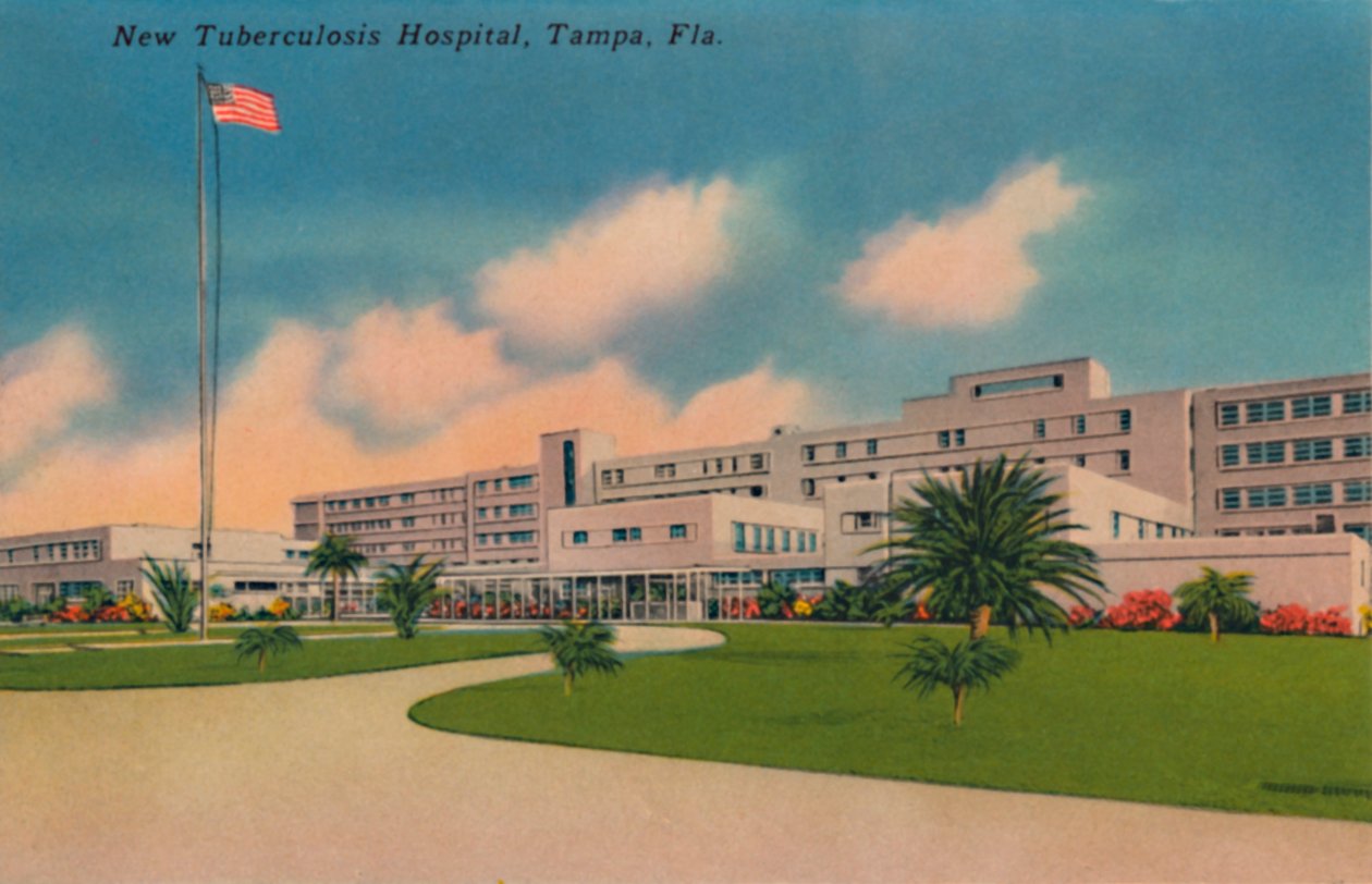 Yeni Tüberküloz Hastanesi, Tampa, Fla., c1940s by Unbekannt