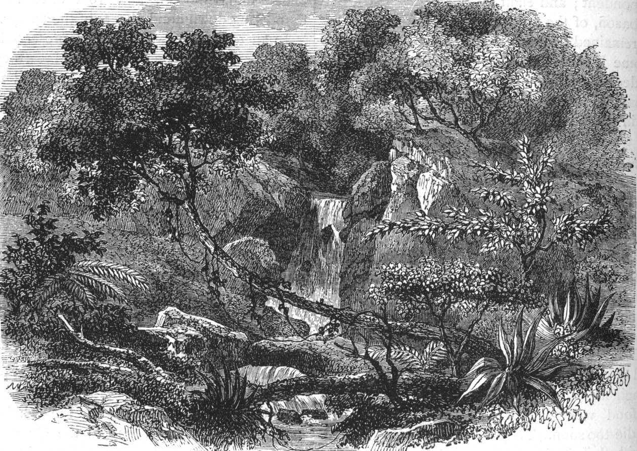 Yeni Zelanda Manzarası, c1880 by Unbekannt