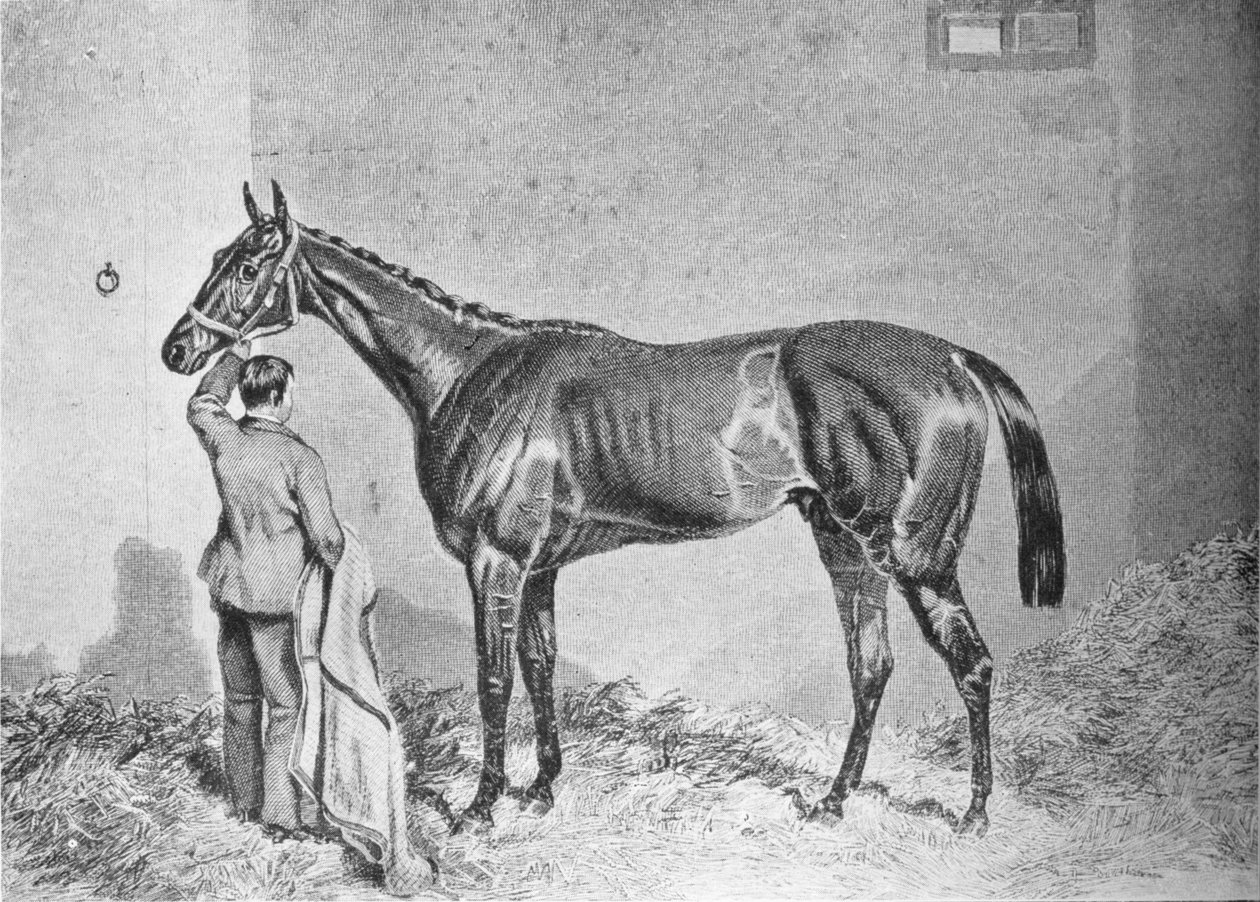 Newminster, 1848-1868, 1911 by Unbekannt