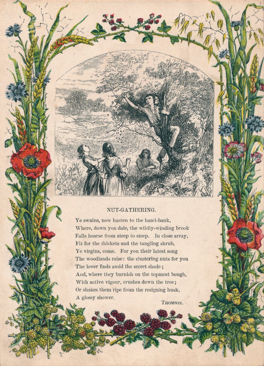 Fındık Toplama, Thomson, c1900 by Unbekannt