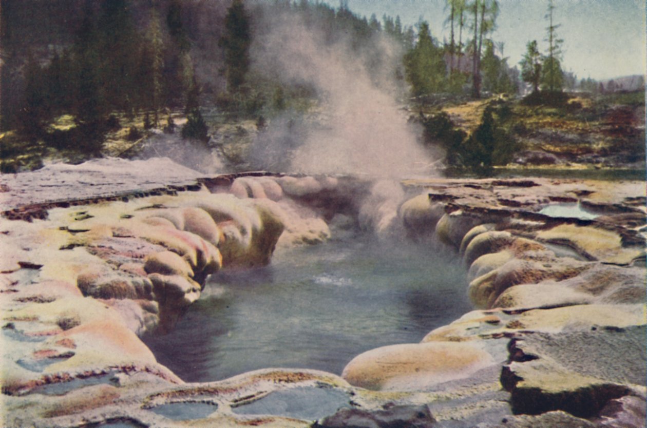 Dikdörtgen Şofben, Yellowstone Parkı, 1916 by Unbekannt