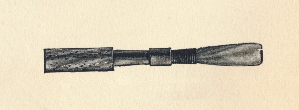 Ray d, 1895