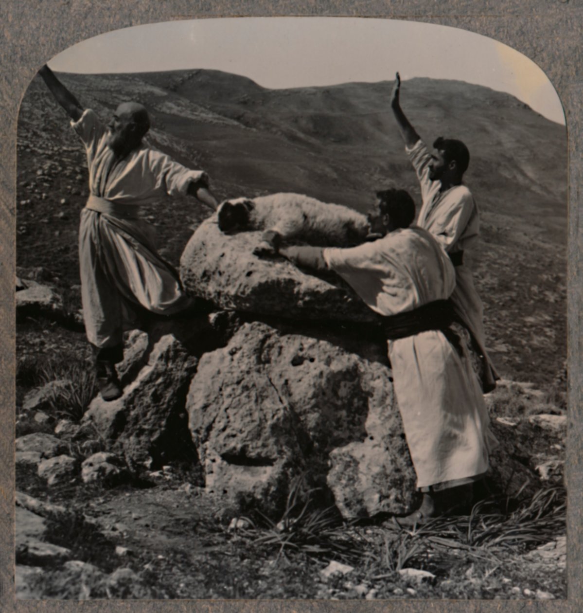 Sunakta kuzu kurbanı sunmak, Moreh, c1900 by Unbekannt