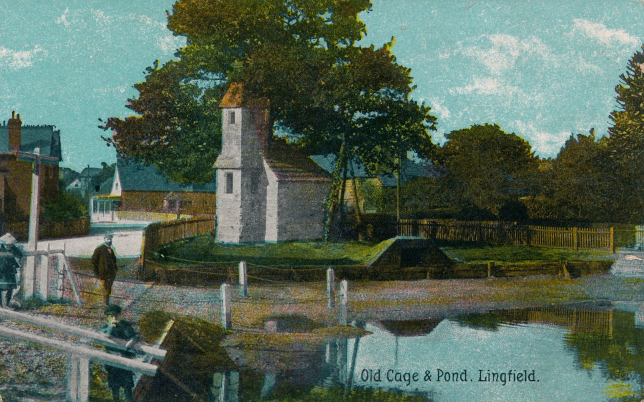 Eski kafes ve gölet, Lingfield, Surrey, c1905 by Unbekannt