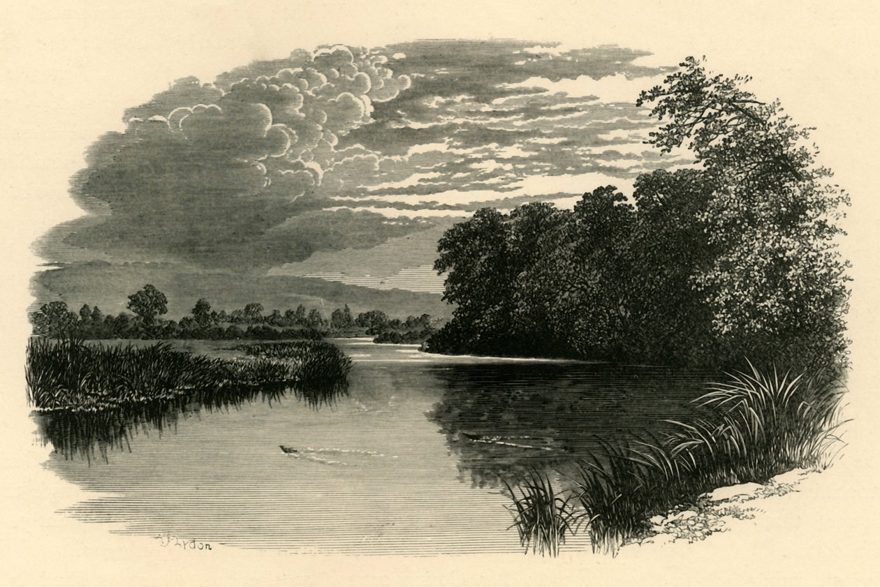 Avon