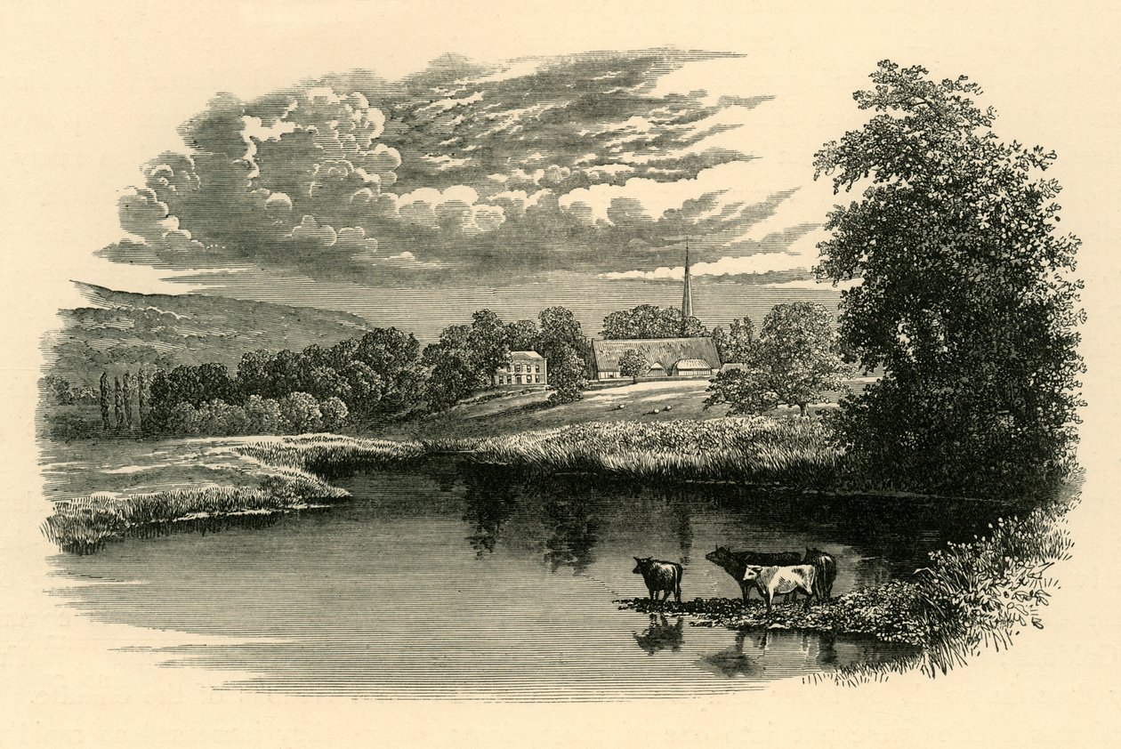 Avon