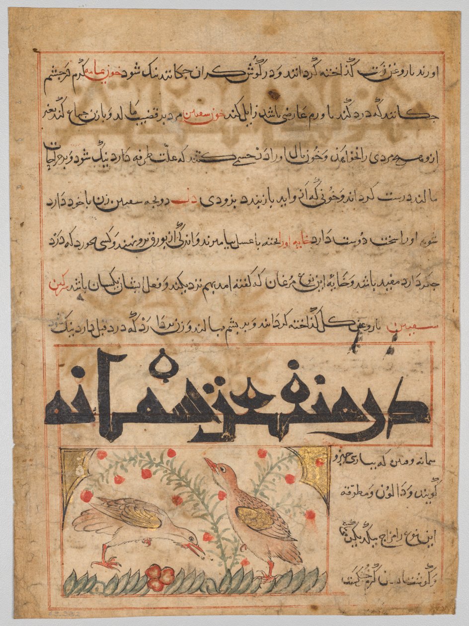 Bir Manafi el-Hayawan