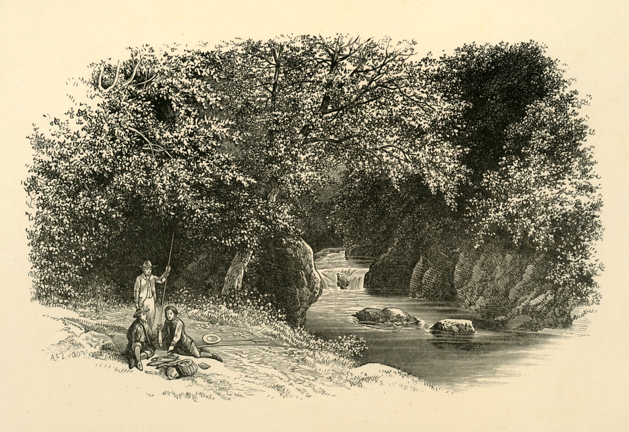 Dargle'da, c1890. by Unbekannt