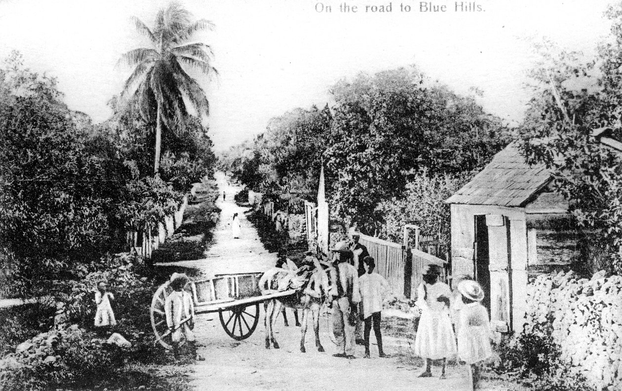 Blue Hills, Bahamalar, c1900s yolunda by Unbekannt