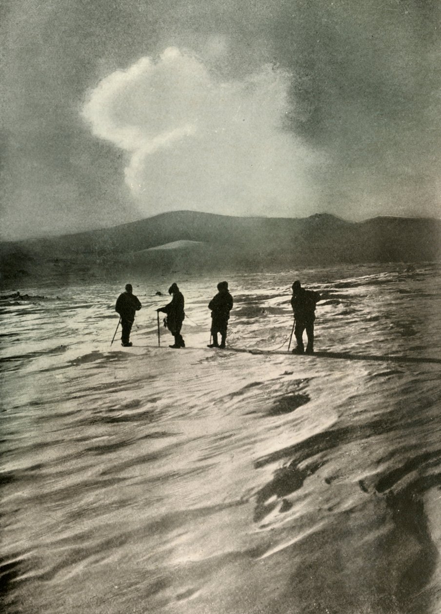 Aktif Koninin Bin Feet Altında, 1908, 1909. by Unbekannt