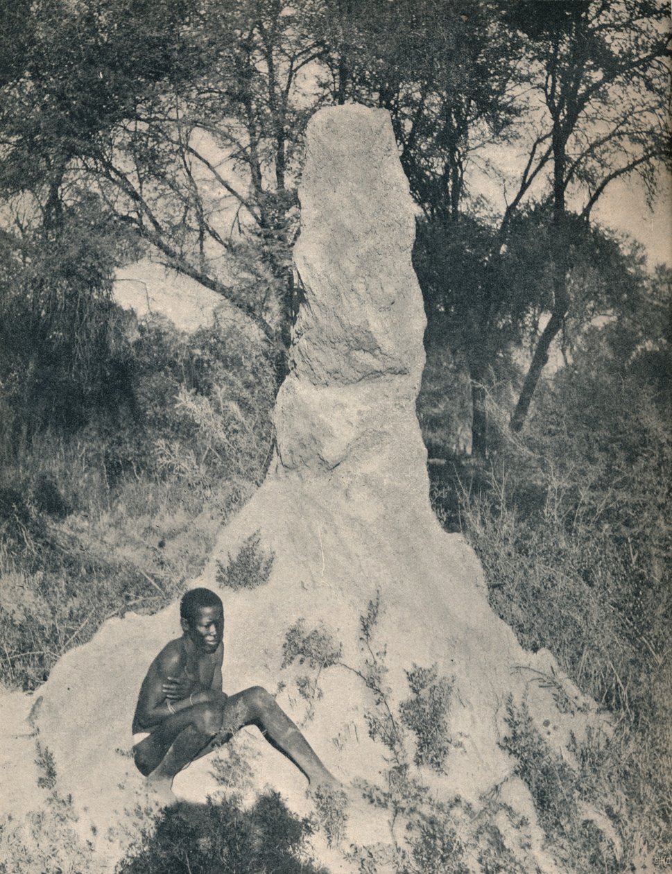 Güney Afrika