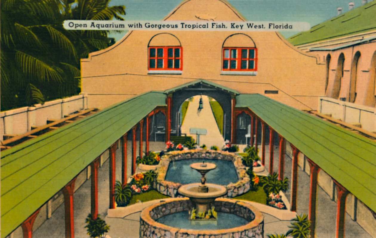 Muhteşem Tropik Balıklarla Açık Akvaryum, Key West, Florida, 1940