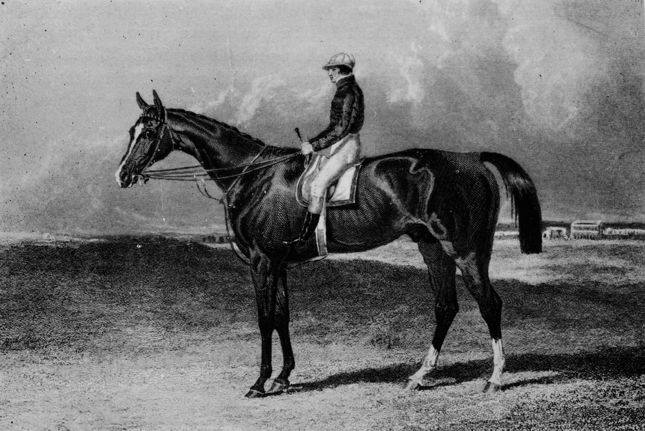 Orlando, c1841-1860, 1911 by Unbekannt