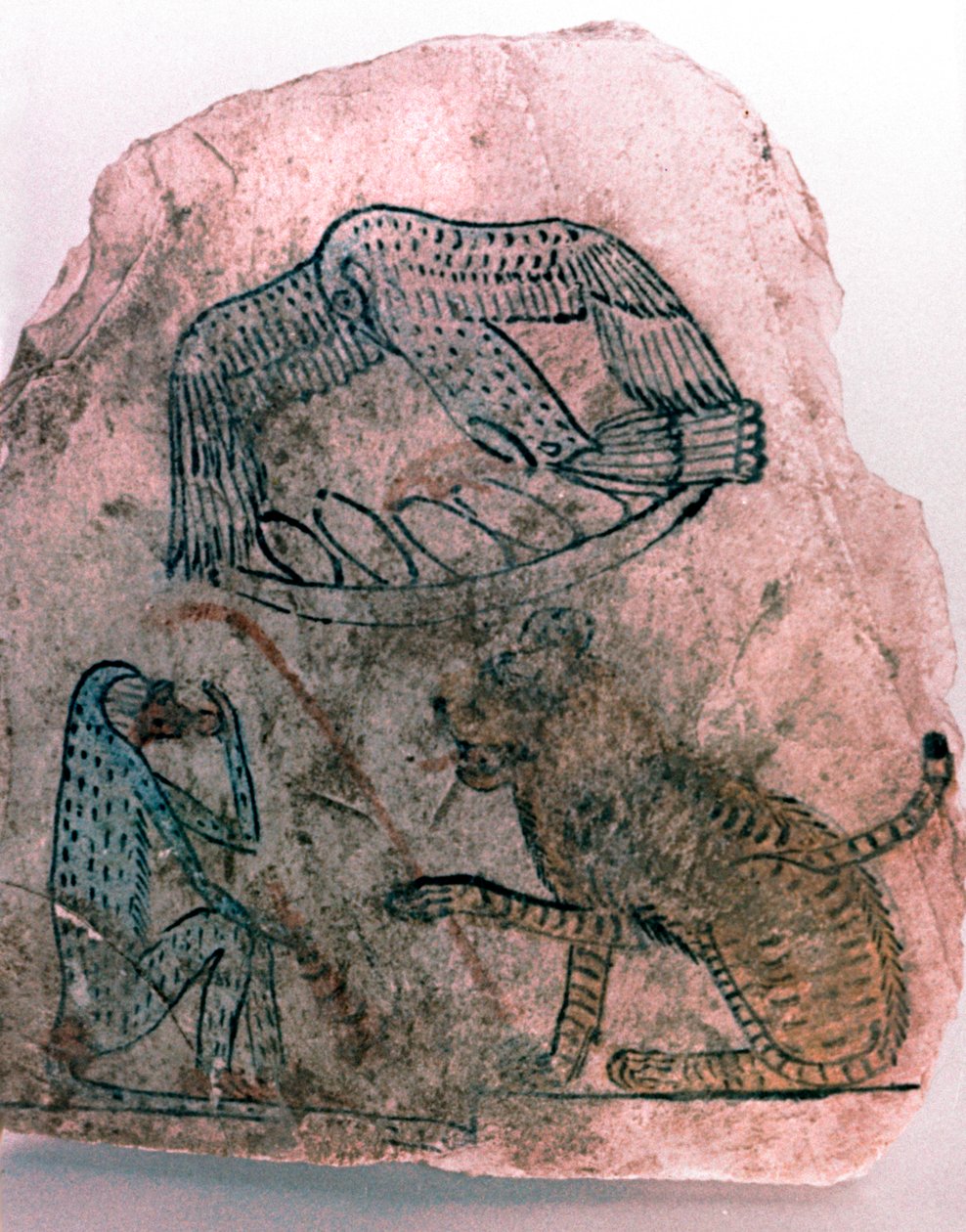 Ostracon Parçası, Çita, Kuş ve Maymun, Mısır by Unbekannt