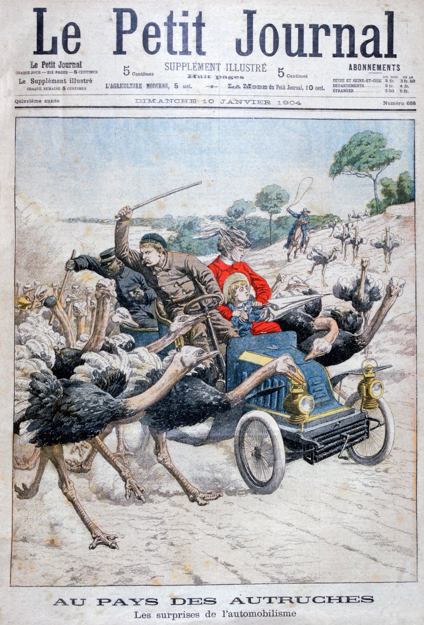 Bir arabaya saldıran devekuşları, California, ABD, 1904 by Unbekannt
