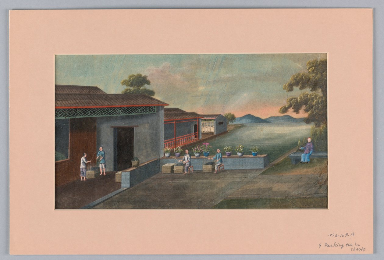 Sandıklarda Çay Paketleme, 1890–1910 by Unbekannt