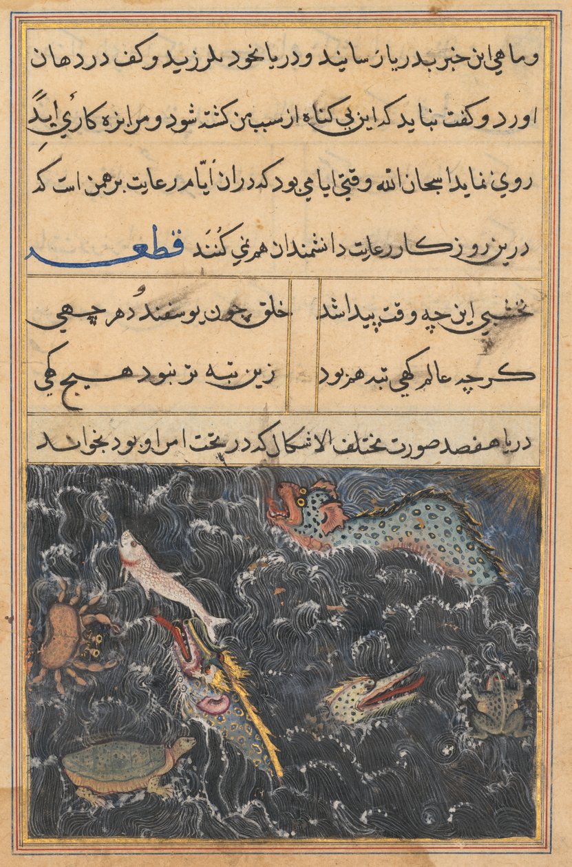 Bir Papağan Masalları Tuti-nama